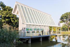 香蜜公园玫瑰园花海