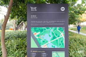 香蜜公园玫瑰园花海