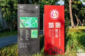 香蜜公园玫瑰园花海