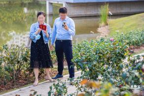 香蜜公园玫瑰园花海
