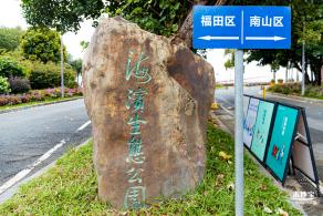 红树林自然保护区
