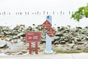 红树林自然保护区