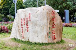 红树林自然保护区