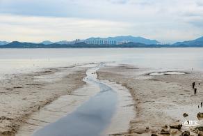 红树林自然保护区