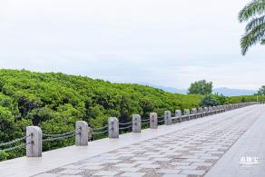 红树林自然保护区