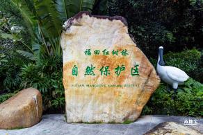 红树林自然保护区