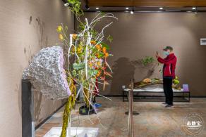 2021深圳菊花展-东湖公园