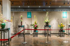 2021深圳菊花展-东湖公园
