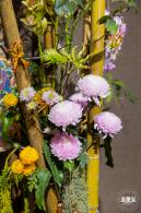2021深圳菊花展-东湖公园