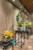 2021深圳菊花展-东湖公园