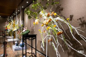 2021深圳菊花展-东湖公园