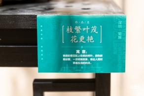 2021深圳菊花展-东湖公园