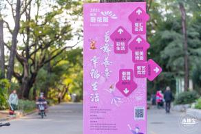 2021深圳菊花展-东湖公园