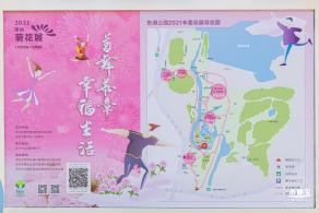2021深圳菊花展-东湖公园
