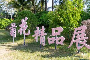 2021深圳菊花展-东湖公园