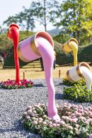2021深圳菊花展-东湖公园