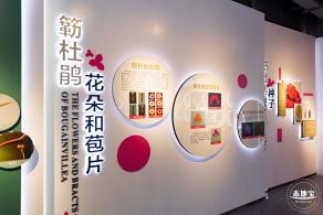 簕杜鹃科普馆