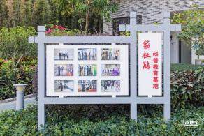 簕杜鹃谷