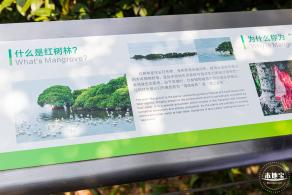 广东内伶仃福田国家级自然保护区