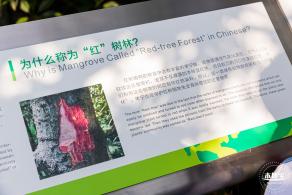 广东内伶仃福田国家级自然保护区