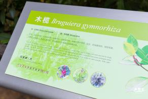 广东内伶仃福田国家级自然保护区