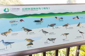 广东内伶仃福田国家级自然保护区