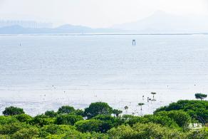 广东内伶仃福田国家级自然保护区