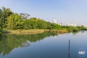 广东内伶仃福田国家级自然保护区