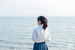 深圳湾公园候鸟季