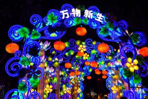 2022湾区超级灯会