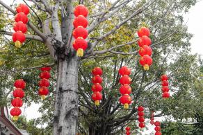 新春气息