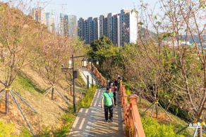 华英路樱花景观公园