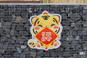 元宵佳节
