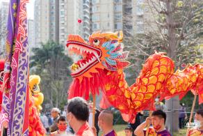 元宵佳节