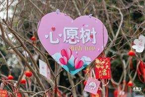 元宵佳节