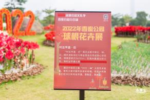 香蜜公园郁金香展