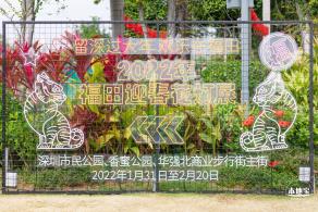 香蜜公园郁金香展