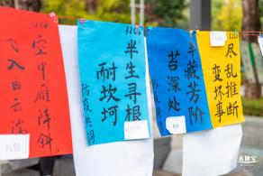 香蜜公园郁金香展