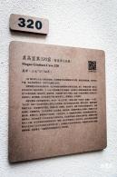 敦煌石窟展