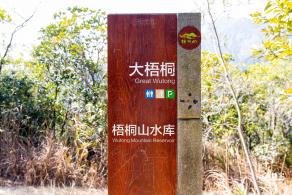 梧桐山