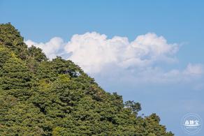 梧桐山