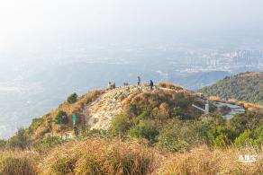 梧桐山