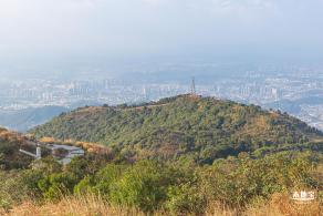 梧桐山