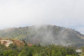 梧桐山