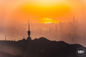 梧桐山