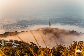 梧桐山