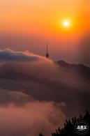 梧桐山