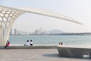 欢乐港湾马鞭草