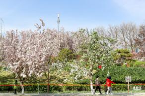 元大都遗址海棠花溪