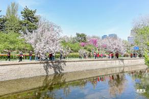 元大都遗址海棠花溪